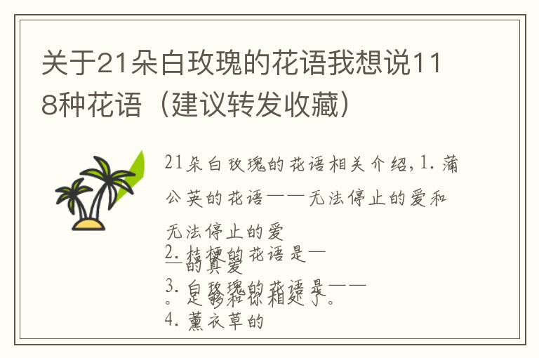 关于21朵白玫瑰的花语我想说118种花语（建议转发收藏）