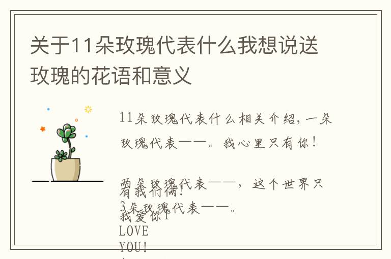 关于11朵玫瑰代表什么我想说送玫瑰的花语和意义