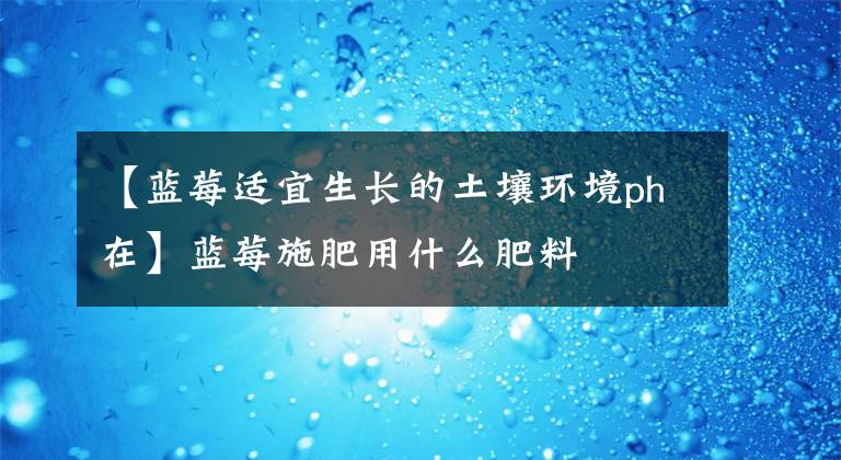 【蓝莓适宜生长的土壤环境ph在】蓝莓施肥用什么肥料