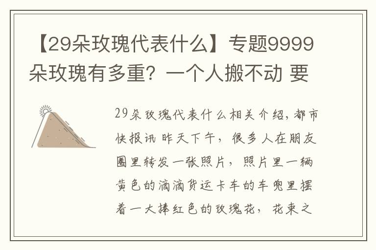 【29朵玫瑰代表什么】专题9999朵玫瑰有多重？一个人搬不动 要用货车送！现在结个婚总共要花多少钱？