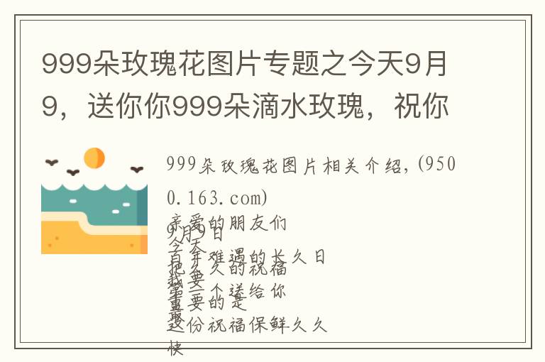 999朵玫瑰花图片专题之今天9月9，送你你999朵滴水玫瑰，祝你幸福天长地久，早上好