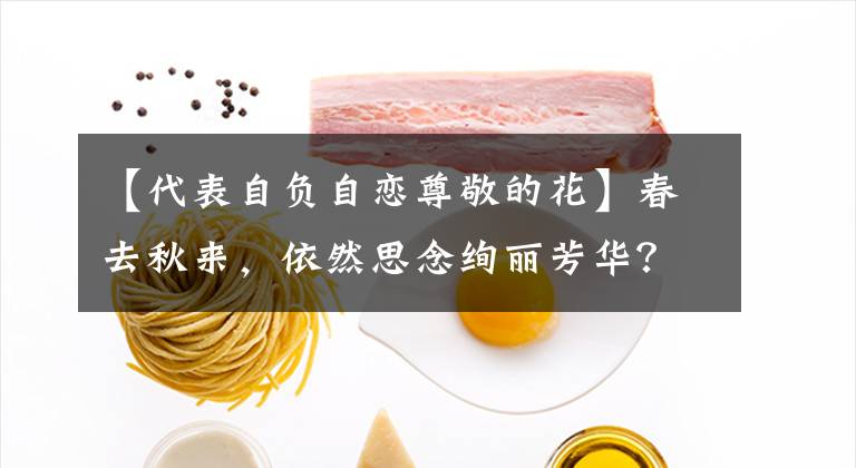 【代表自负自恋尊敬的花】春去秋来，依然思念绚丽芳华？23种花开瞬间，感受惊艳与喜悦