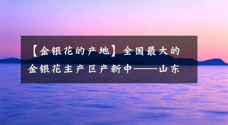 【金银花的产地】全国最大的金银花主产区产新中——山东平邑