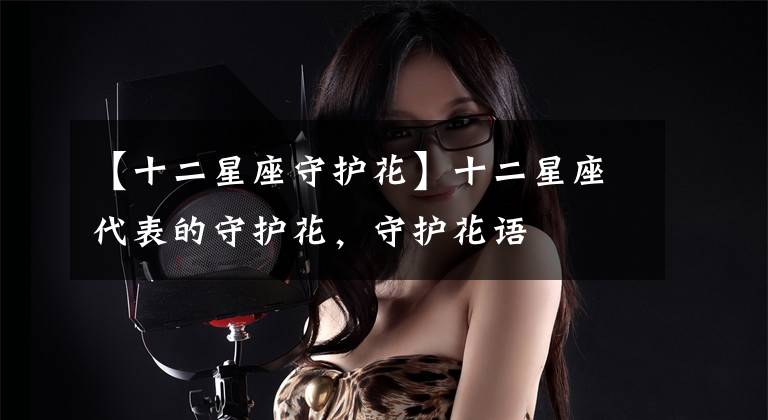 【十二星座守护花】十二星座代表的守护花，守护花语