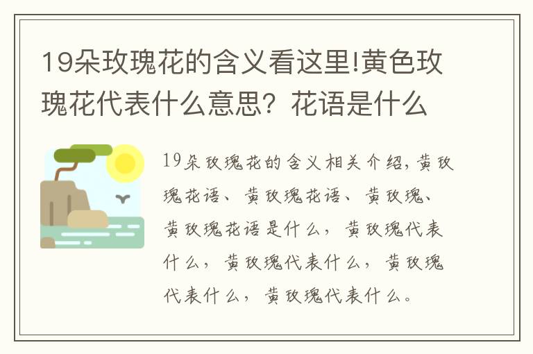 19朵玫瑰花的含义看这里!黄色玫瑰花代表什么意思？花语是什么？