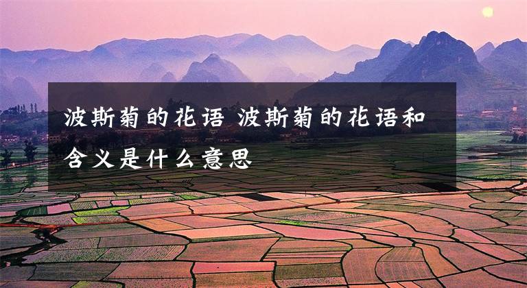 波斯菊的花语 波斯菊的花语和含义是什么意思