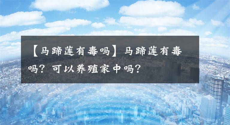 【马蹄莲有毒吗】马蹄莲有毒吗？可以养殖家中吗？