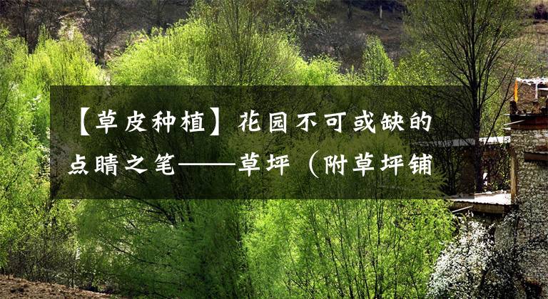 【草皮种植】花园不可或缺的点睛之笔——草坪（附草坪铺设、维护方法）