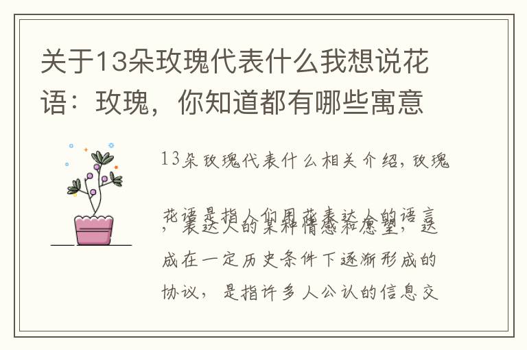 关于13朵玫瑰代表什么我想说花语：玫瑰，你知道都有哪些寓意吗？