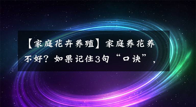 【家庭花卉养殖】家庭养花养不好？如果记住3句“口诀”，新手养花都没难度