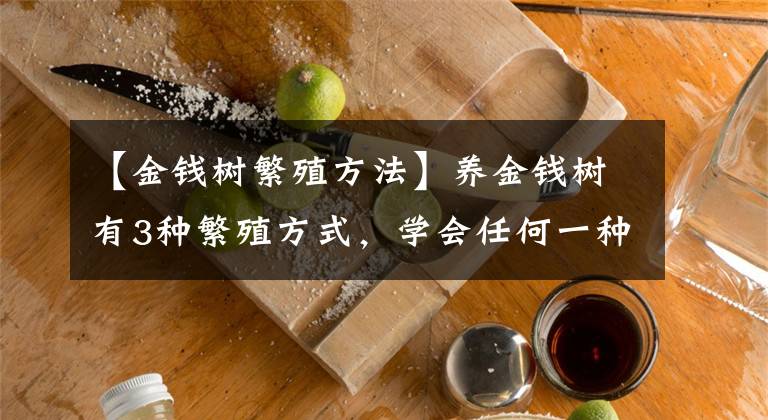 【金钱树繁殖方法】养金钱树有3种繁殖方式，学会任何一种，都能一盆变多盆
