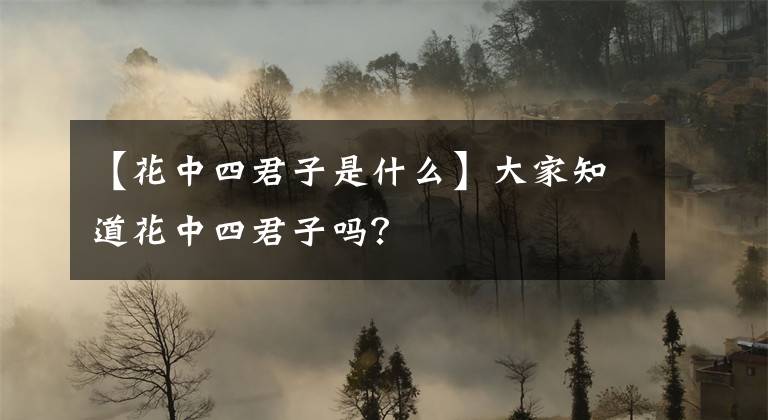 【花中四君子是什么】大家知道花中四君子吗？