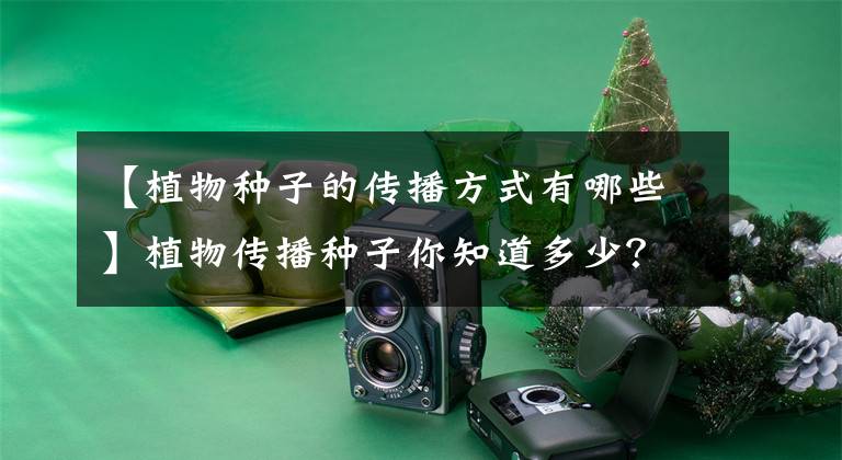 【植物种子的传播方式有哪些】植物传播种子你知道多少？这三种方式很神奇，赶紧收藏