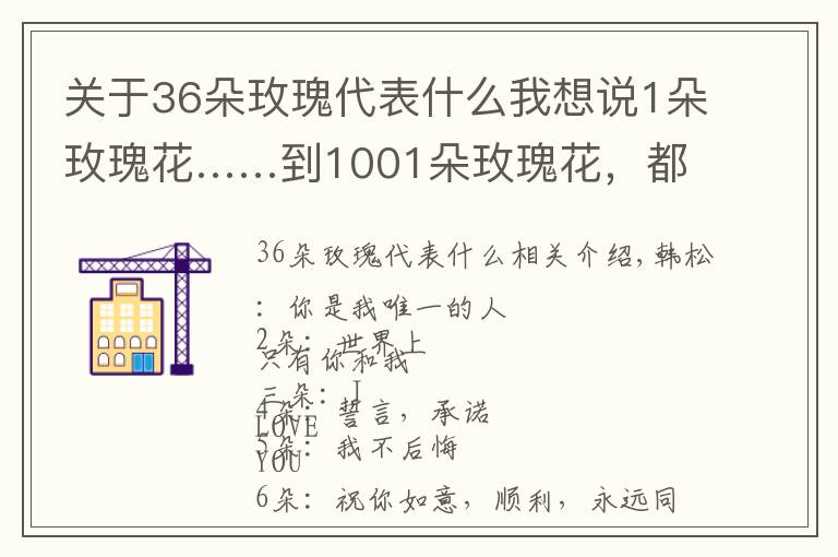 关于36朵玫瑰代表什么我想说1朵玫瑰花……到1001朵玫瑰花，都代表什么，你知道吗？