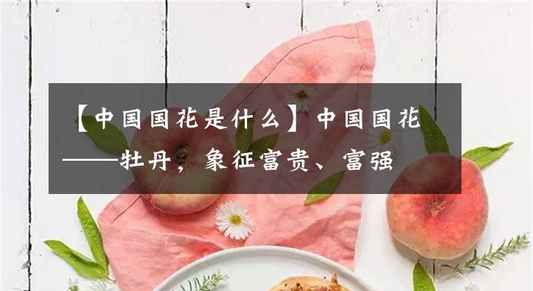 【中国国花是什么】中国国花——牡丹，象征富贵、富强