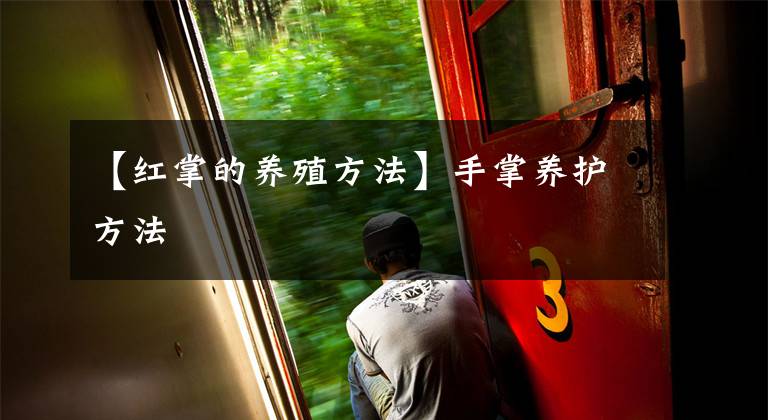 【红掌的养殖方法】手掌养护方法