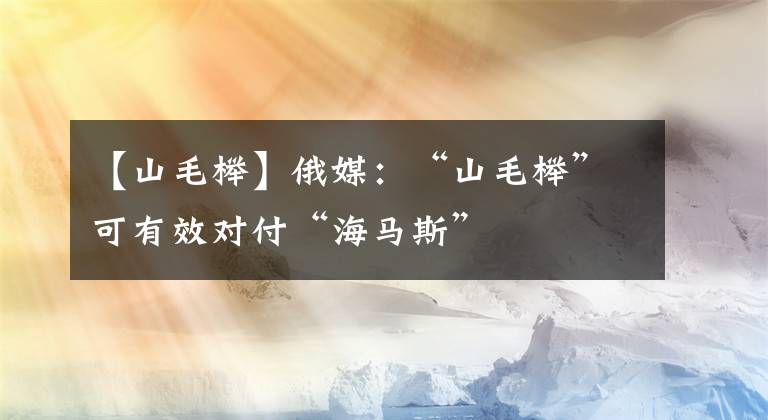 【山毛榉】俄媒：“山毛榉”可有效对付“海马斯”