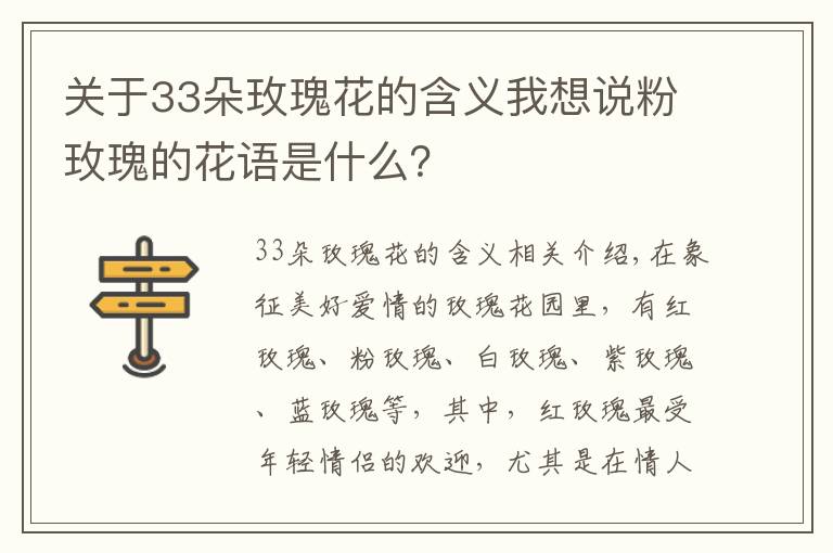 关于33朵玫瑰花的含义我想说粉玫瑰的花语是什么？