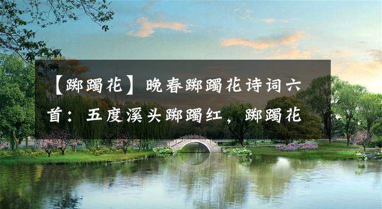 【踯躅花】晚春踯躅花诗词六首：五度溪头踯躅红，踯躅花开红照水