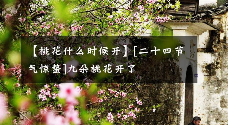 【桃花什么时候开】[二十四节气惊蛰]九朵桃花开了