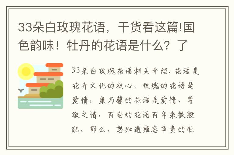 33朵白玫瑰花语，干货看这篇!国色韵味！牡丹的花语是什么？了解一下吧