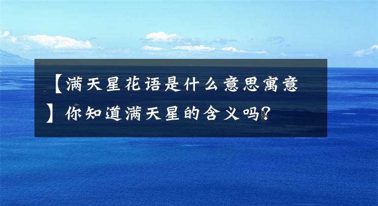 【满天星花语是什么意思寓意】你知道满天星的含义吗？