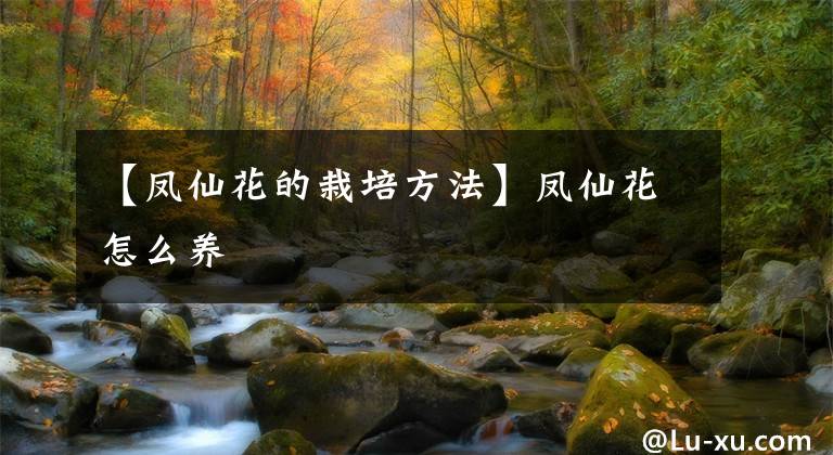 【凤仙花的栽培方法】凤仙花怎么养