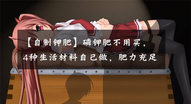 【自制钾肥】磷钾肥不用买，4种生活材料自己做，肥力充足养啥花都旺