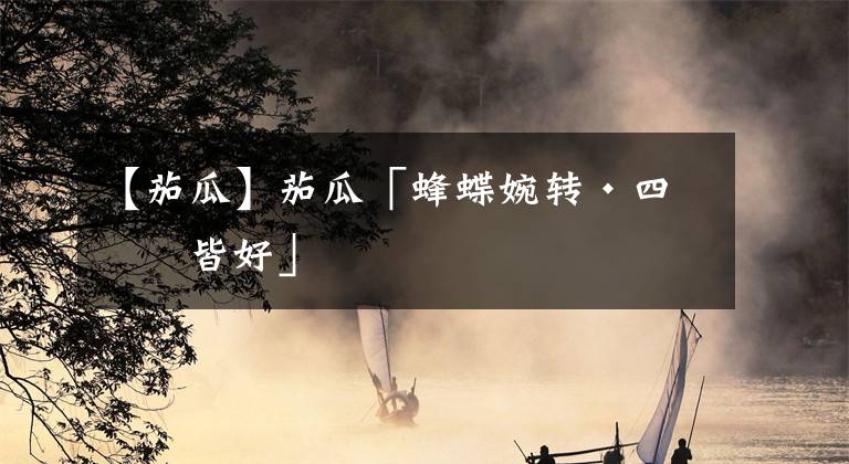 【茄瓜】茄瓜「蜂蝶婉转·四时皆好」