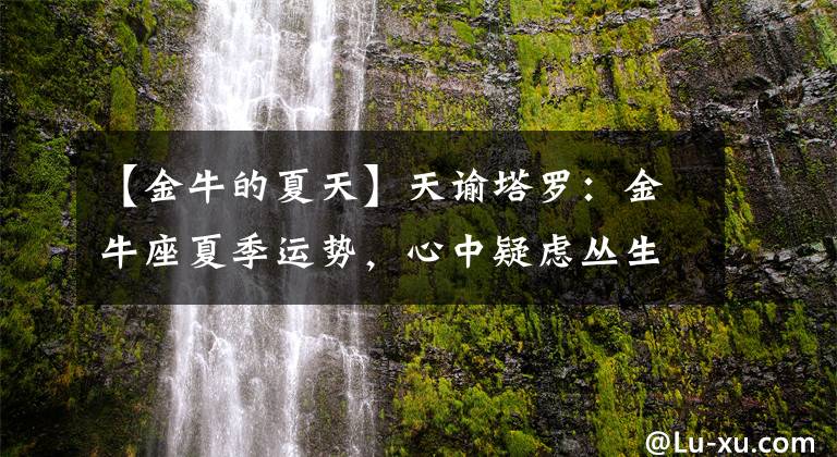 【金牛的夏天】天谕塔罗：金牛座夏季运势，心中疑虑丛生，对未来不确定和不安