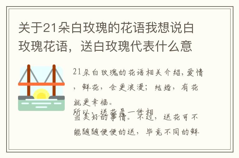 关于21朵白玫瑰的花语我想说白玫瑰花语，送白玫瑰代表什么意思？