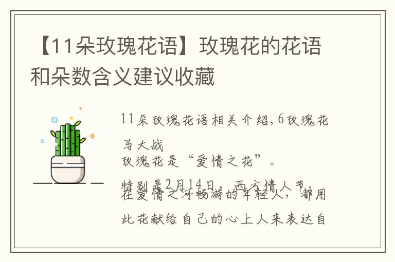 【11朵玫瑰花语】玫瑰花的花语和朵数含义建议收藏