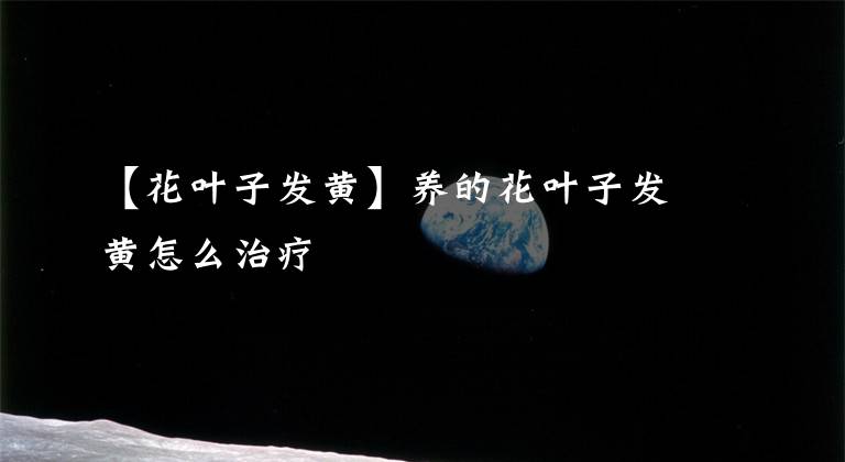 【花叶子发黄】养的花叶子发黄怎么治疗