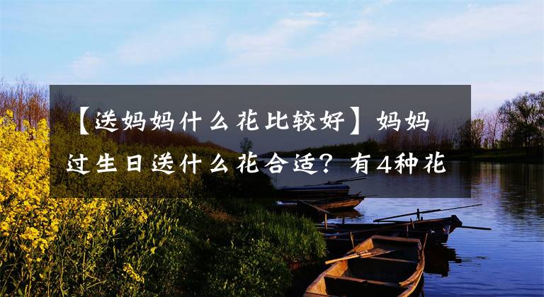 【送妈妈什么花比较好】妈妈过生日送什么花合适？有4种花代表着母爱与感恩，很适合相赠