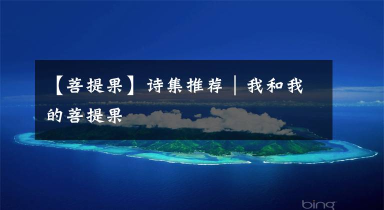 【菩提果】诗集推荐｜我和我的菩提果