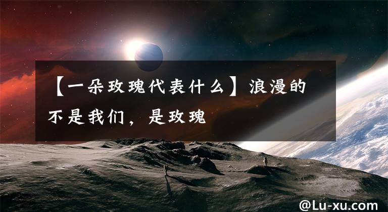 【一朵玫瑰代表什么】浪漫的不是我们，是玫瑰