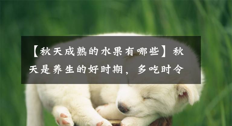 【秋天成熟的水果有哪些】秋天是养生的好时期，多吃时令水果，征服食物，味道好，健康好