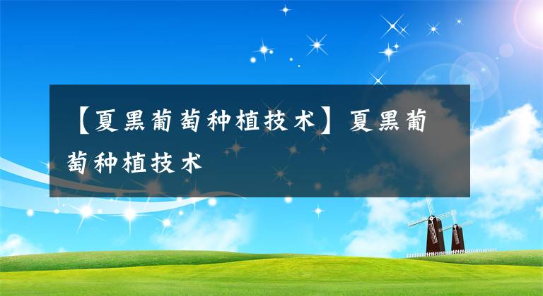 【夏黑葡萄种植技术】夏黑葡萄种植技术