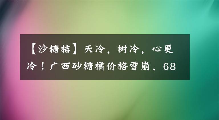 【沙糖桔】天冷，树冷，心更冷！广西砂糖橘价格雪崩，685万吨谁来买单？