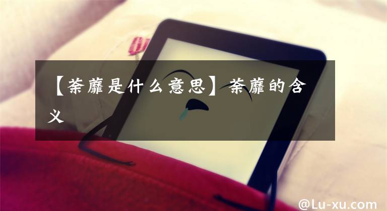 【荼蘼是什么意思】荼蘼的含义