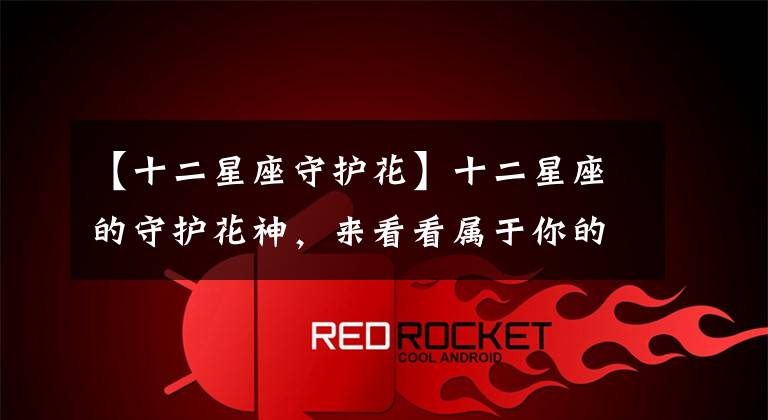 【十二星座守护花】十二星座的守护花神，来看看属于你的是哪个
