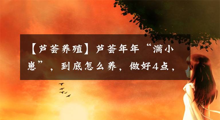 【芦荟养殖】芦荟年年“满小崽”，到底怎么养，做好4点，爆盆毫无悬念