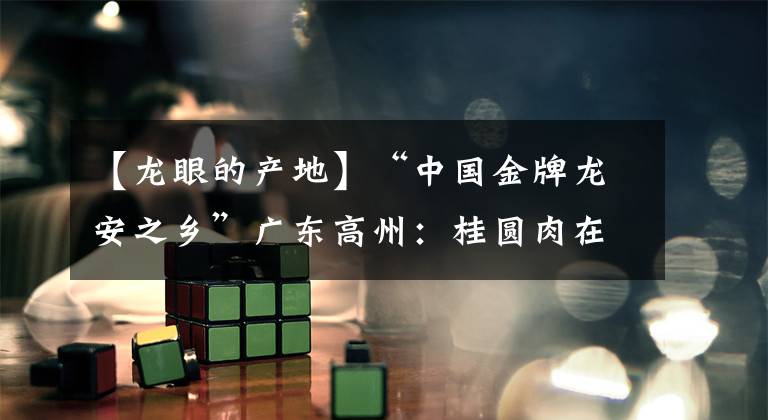 【龙眼的产地】“中国金牌龙安之乡”广东高州：桂圆肉在国内外散发香气。