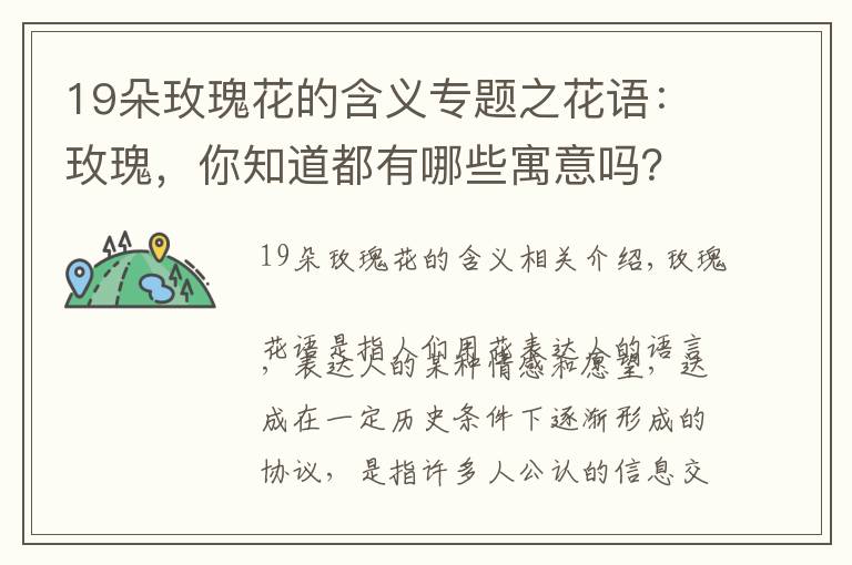 19朵玫瑰花的含义专题之花语：玫瑰，你知道都有哪些寓意吗？