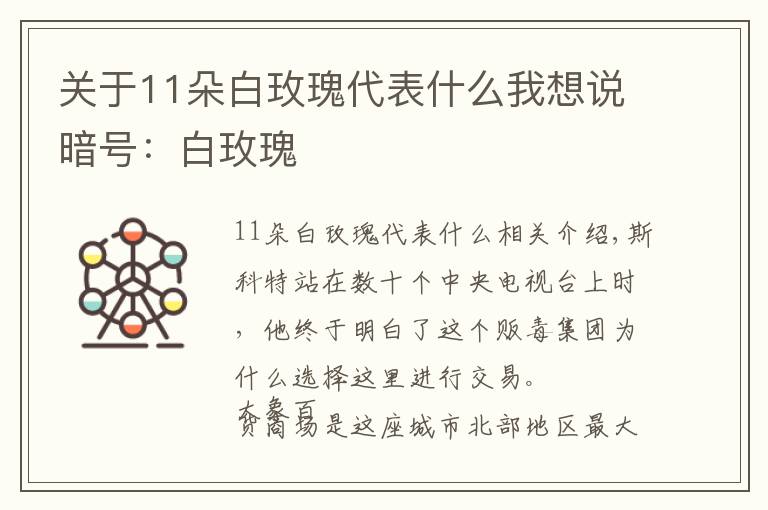 关于11朵白玫瑰代表什么我想说暗号：白玫瑰