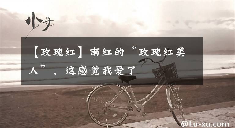 【玫瑰红】南红的“玫瑰红美人”，这感觉我爱了