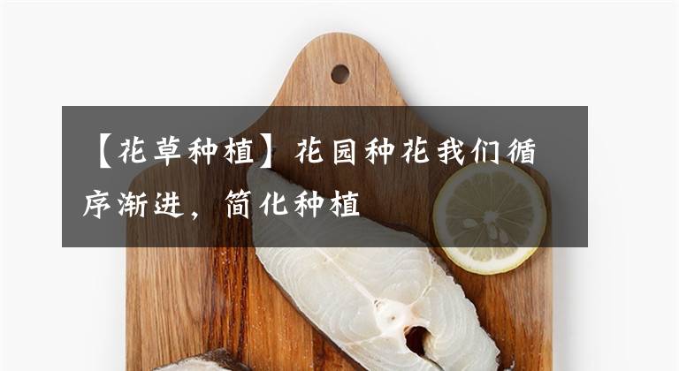 【花草种植】花园种花我们循序渐进，简化种植
