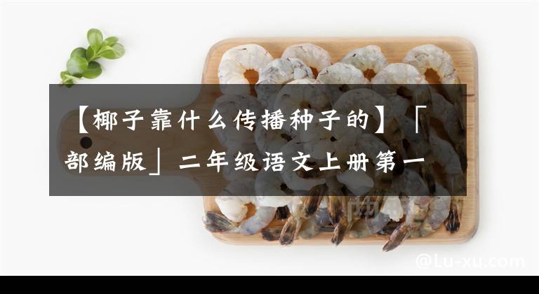【椰子靠什么传播种子的】「部编版」二年级语文上册第一单元重要知识点（精编版）