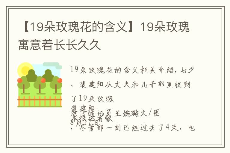 【19朵玫瑰花的含义】19朵玫瑰寓意着长长久久