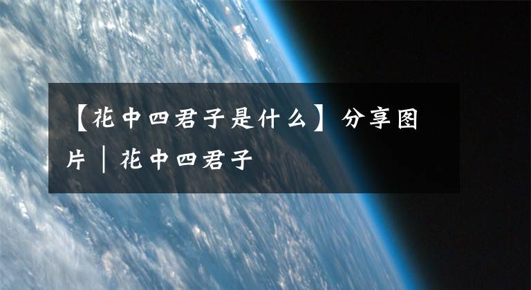 【花中四君子是什么】分享图片｜花中四君子